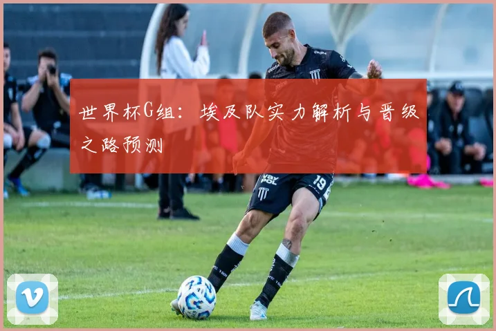 世界杯G组：埃及队实力解析与晋级之路预测
